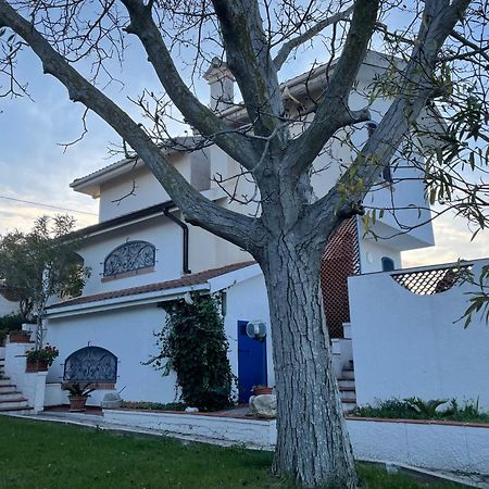 Вилла Il Giardino Degli Ulivi Читта Сань Анджело Экстерьер фото
