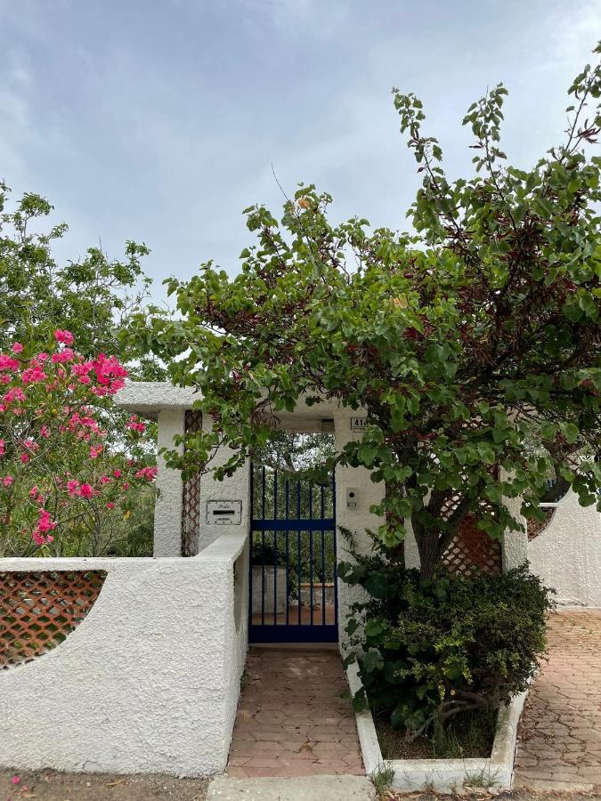 Вилла Il Giardino Degli Ulivi Читта Сань Анджело Экстерьер фото
