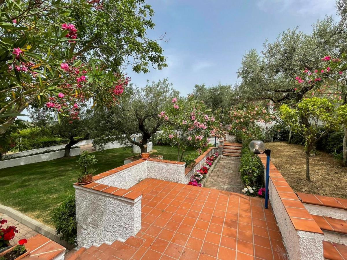 Вилла Il Giardino Degli Ulivi Читта Сань Анджело Экстерьер фото