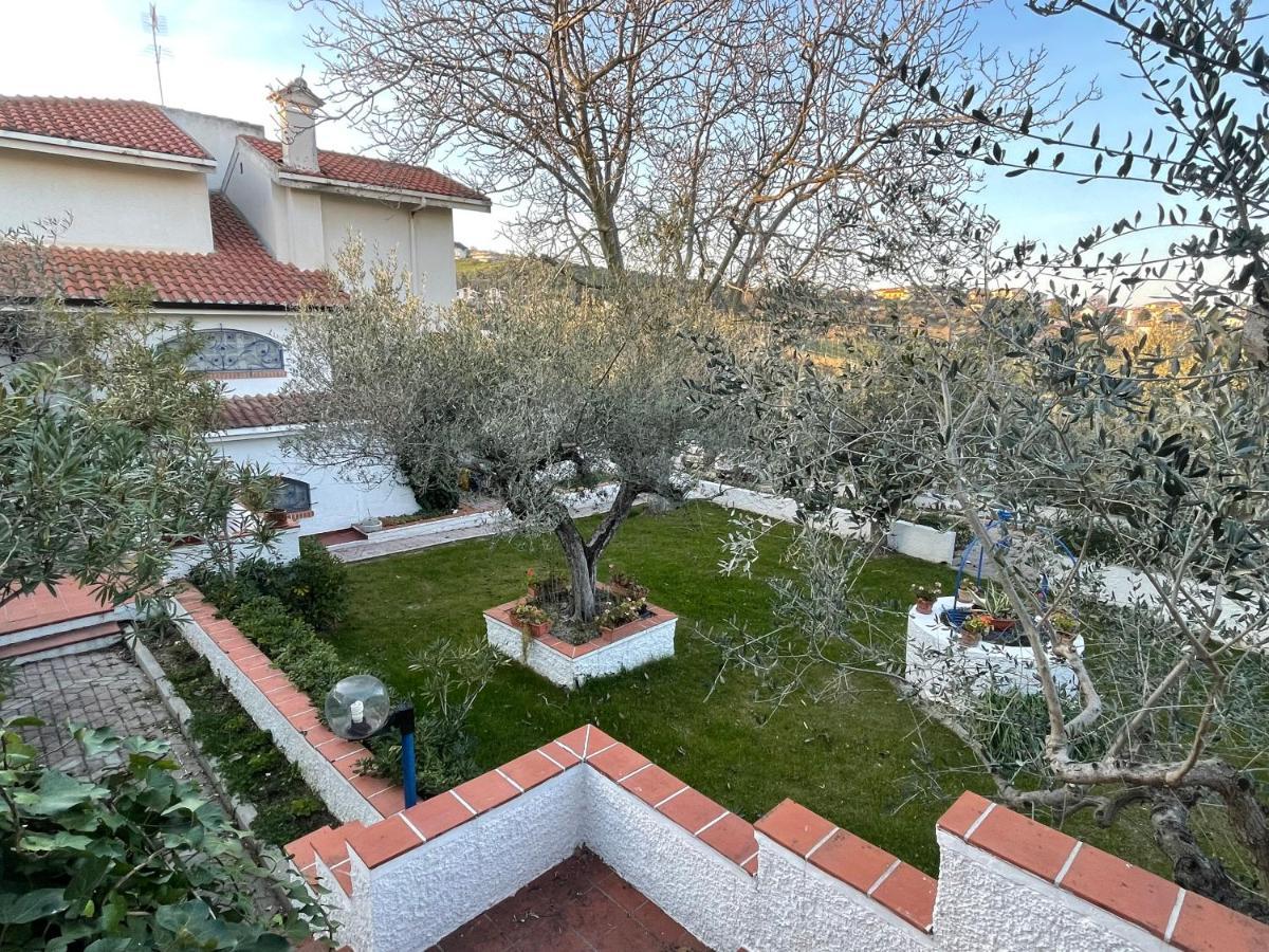 Вилла Il Giardino Degli Ulivi Читта Сань Анджело Экстерьер фото
